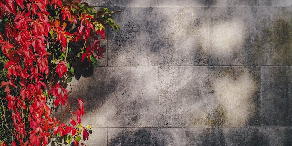 concrete patio restoration