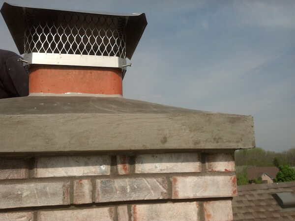 Chimney Swifts