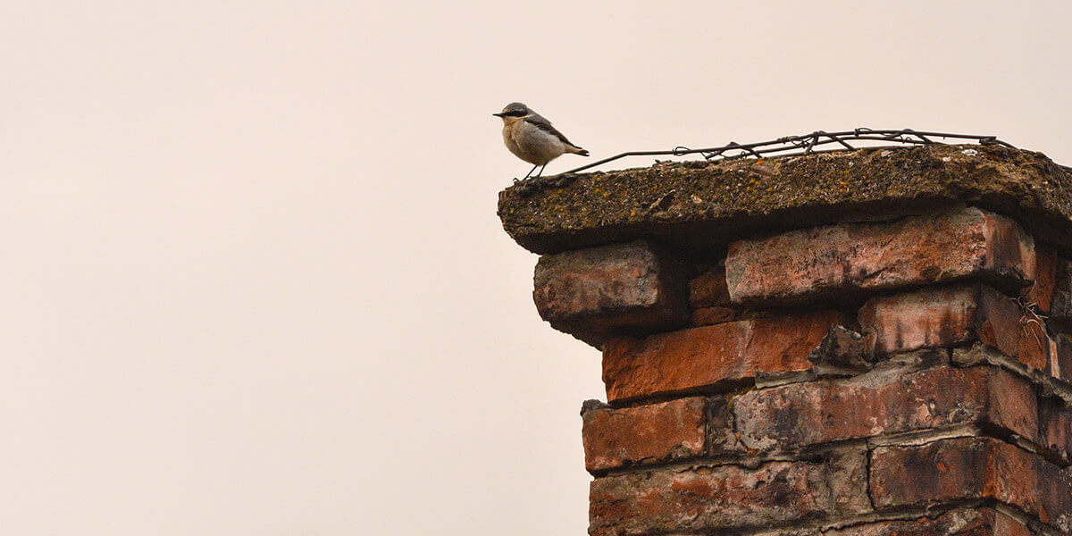 chimney repair