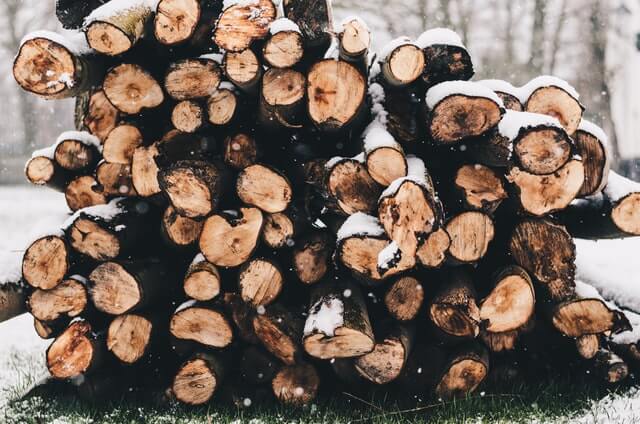 Best Wood to Burn in a Fireplace